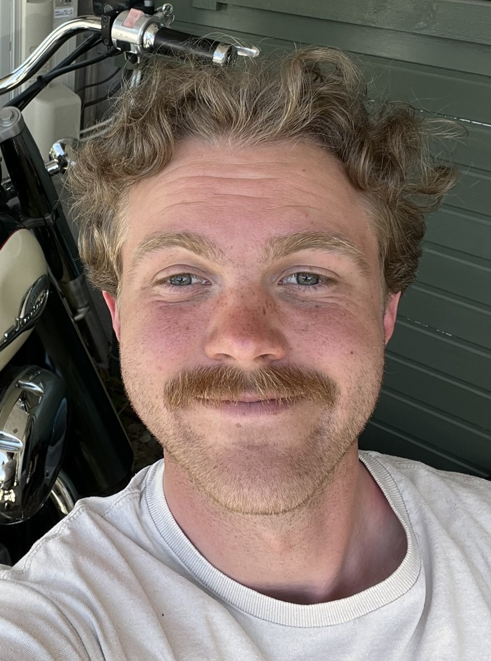 fredrik sehlstedt